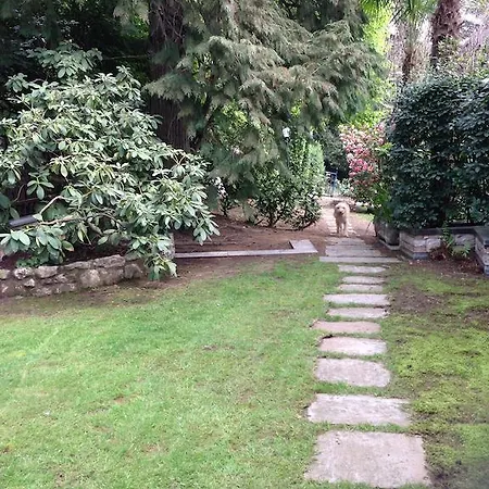 Il Pioppo Antico * Viggiù