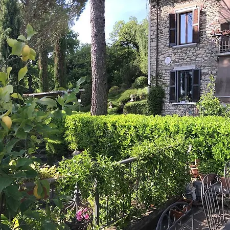 Il Pioppo Antico