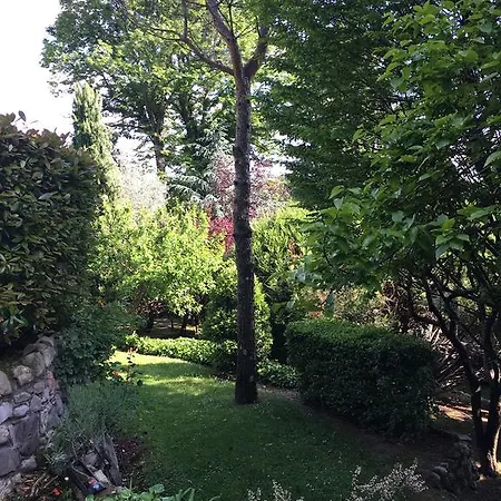 Il Pioppo Antico