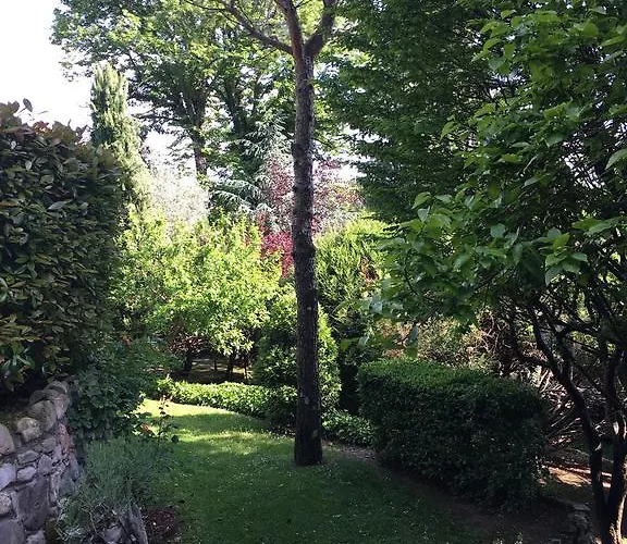 Il Pioppo Antico