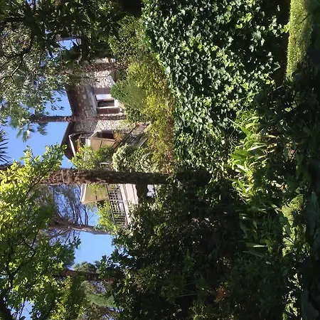 Il Pioppo Antico * Viggiù